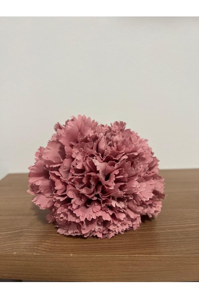5 Claveles en RAMILLETE, rojo, nude, malva, buganvilla