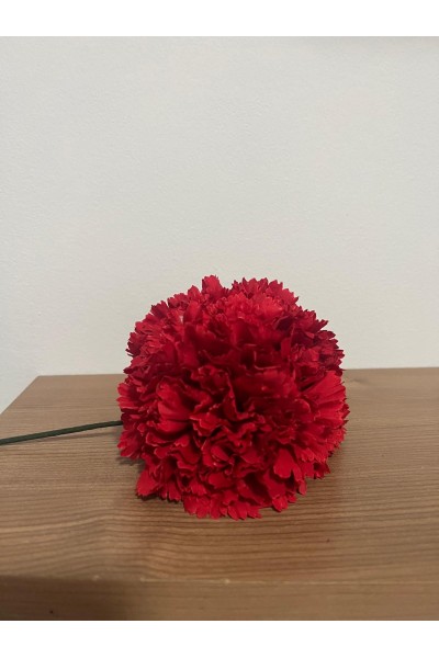 5 Claveles en RAMILLETE, rojo, nude, malva, buganvilla