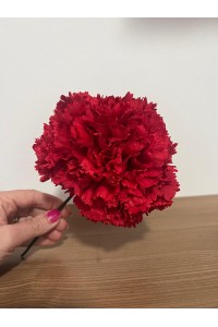 5 Claveles en RAMILLETE, rojo, nude, malva, buganvilla