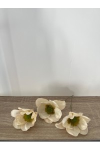 Lote 3 AMAPOLA blanco roto, pequeñas, sueltas